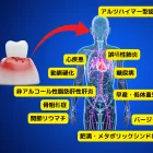 歯周病と全身疾患